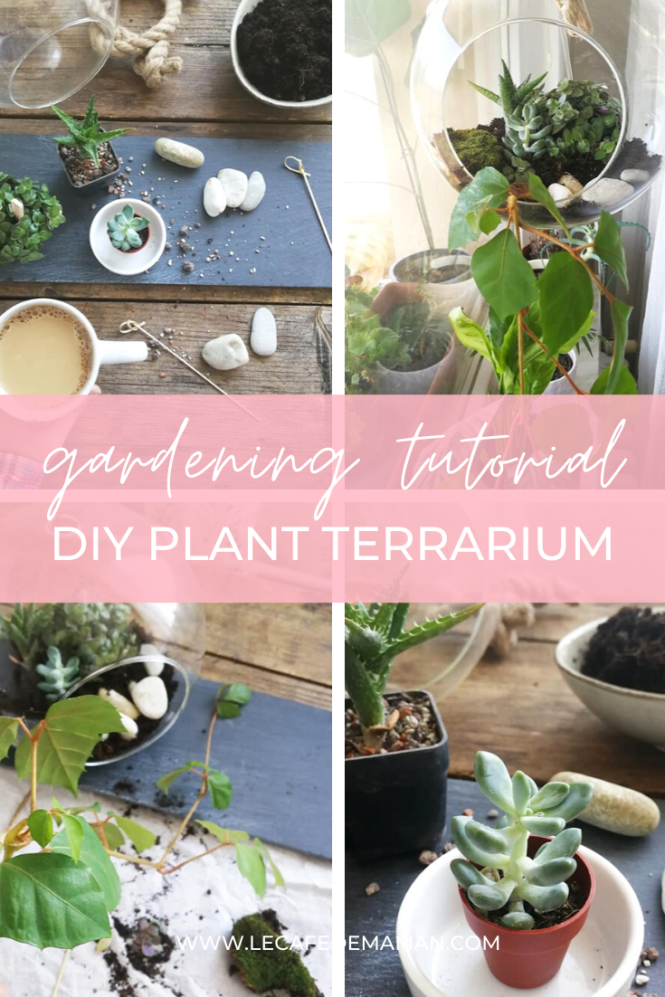 diy plant terrarium tutorial