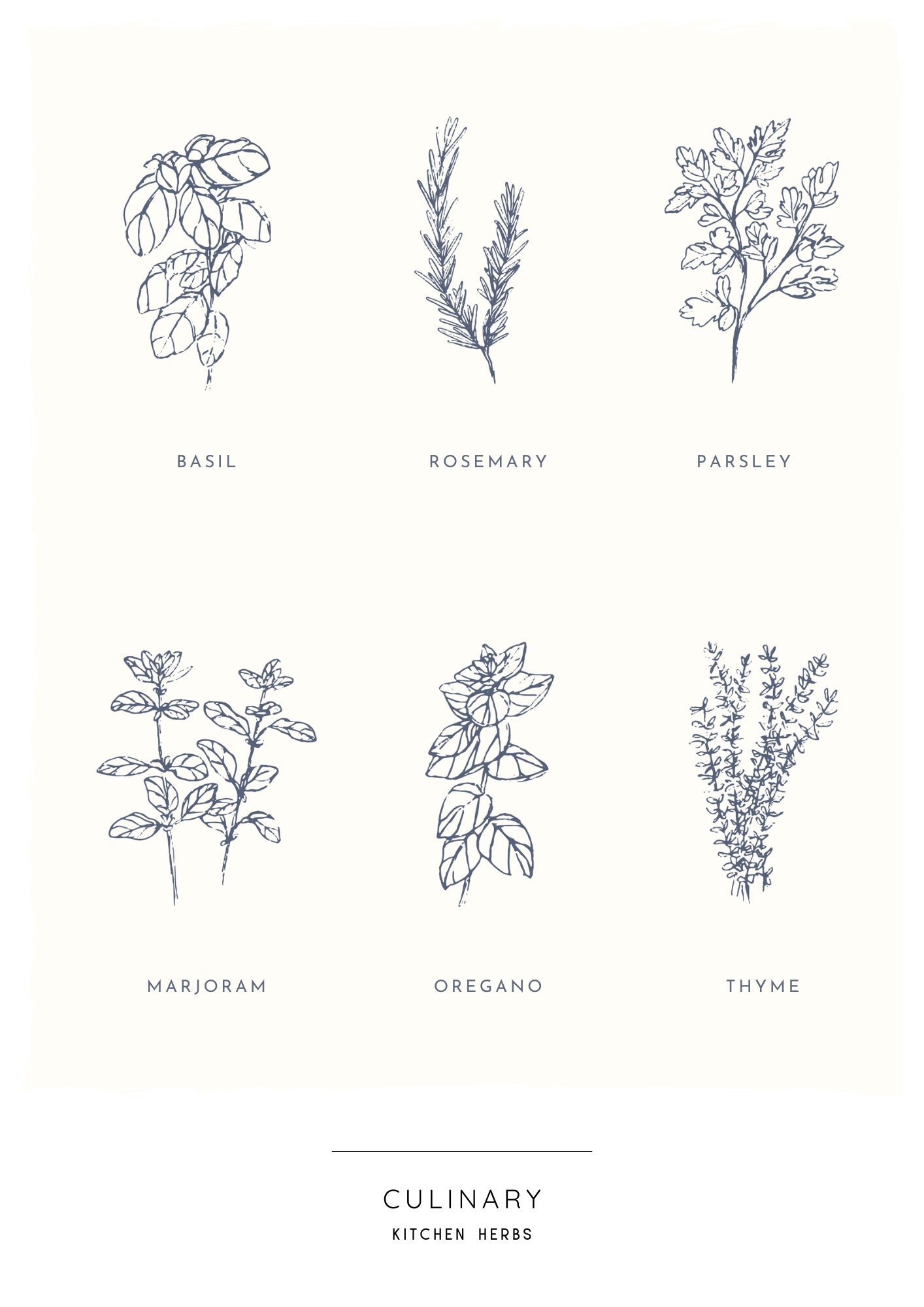 culinary herbs printable poster