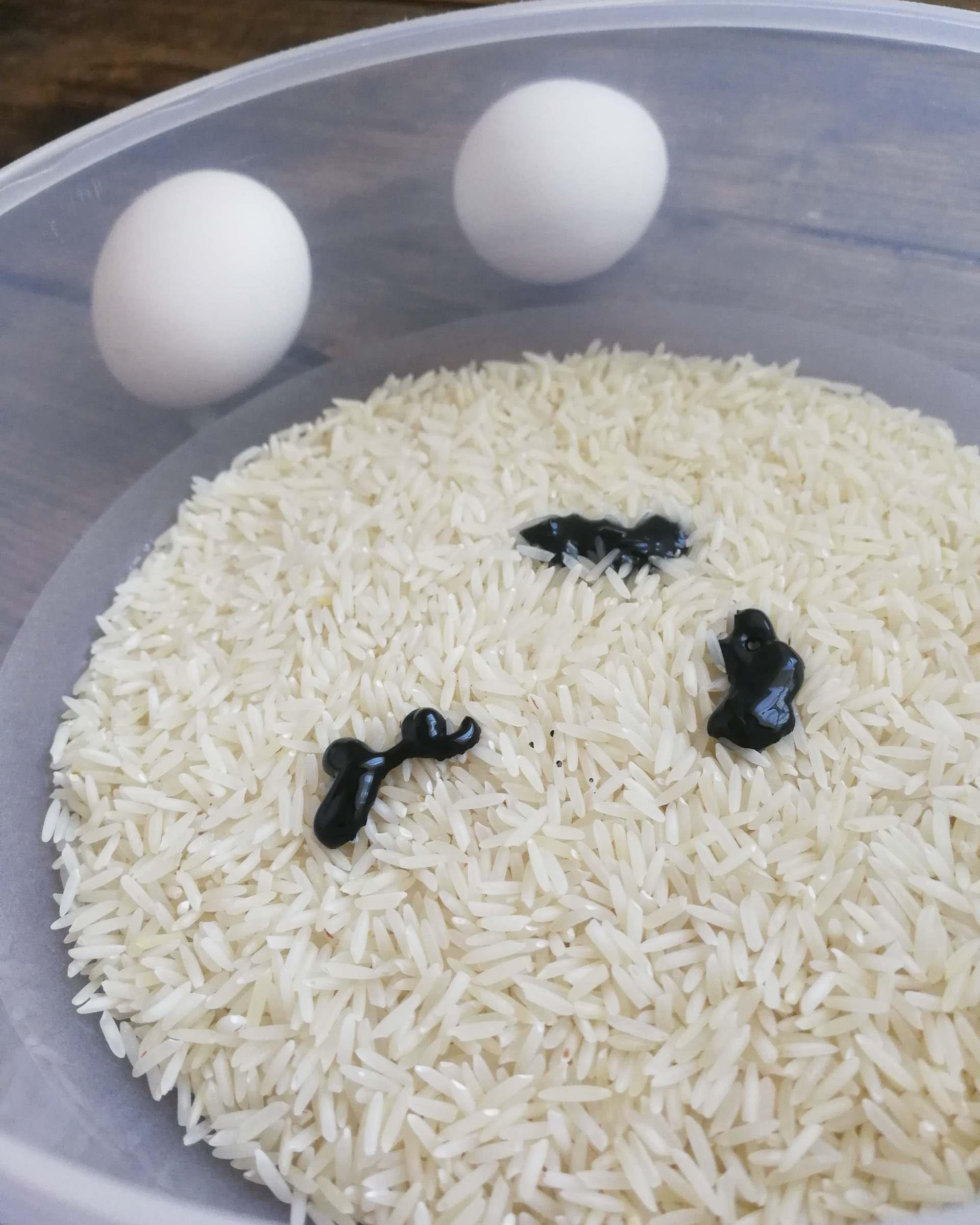 easter egg colouring ideas rice