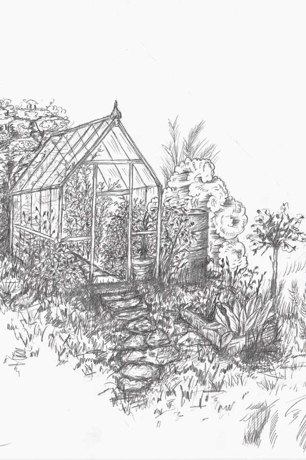 greenhouse drawing