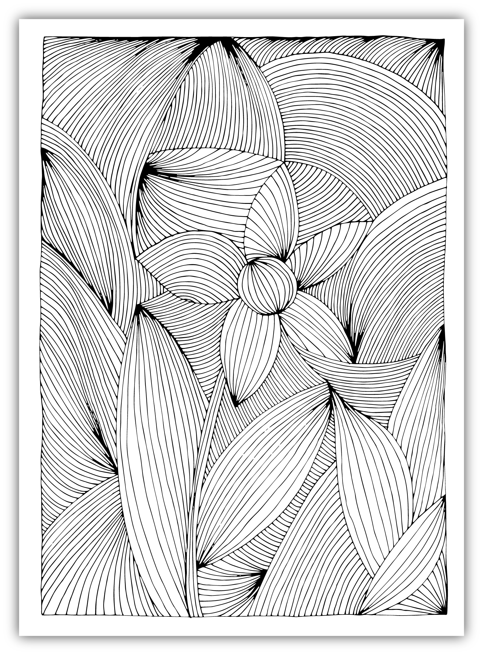 spring flower coloring page preview
